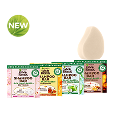 Garnier Shampoo Bar